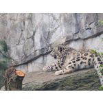 来自这款手机的图片