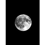 来自这款手机的图片