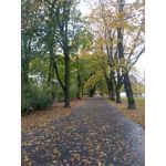 Foto's van de gebruikers Huawei P9 Lite Mini Dual SIM