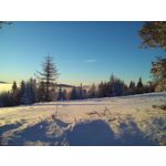 用戶照片 Huawei Y3