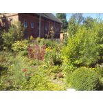 用戶照片 Huawei Y3