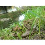 FOTO FATTE CON QUESTO TELEFONO