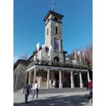 来自这款手机的图片