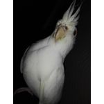 来自这款手机的图片