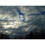 来自这款手机的图片