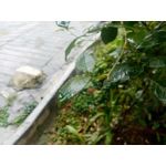 来自这款手机的图片