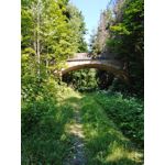 來自這款手機的圖片