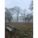FOTO'S VAN DEZE TELEFOON