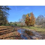 Foto dei utenti Huawei Pura 80 Pro