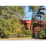 Foto dei utenti Huawei Pura 80 Pro