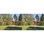 Foto dei utenti Huawei Pura 80 Pro