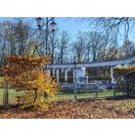 Foto dei utenti Huawei Pura 80 Pro