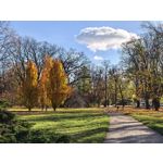 Foto dei utenti Huawei Pura 80 Pro