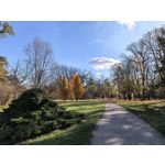 Foto dei utenti Huawei Pura 80 Pro