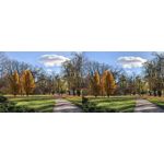 Foto dei utenti Huawei Pura 80 Pro