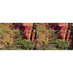 Foto dei utenti Huawei Pura 80 Pro