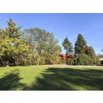 Foto dei utenti Huawei Pura 80 Pro