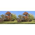 Foto dei utenti Huawei Pura 80 Pro