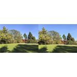 Foto dei utenti Huawei Pura 80 Pro