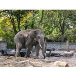 用戶照片 Huawei Pura 80 Ultra