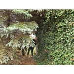 用戶照片 Huawei Pura 80 Ultra