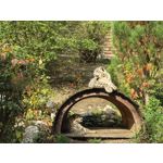 用戶照片 Huawei Pura 80 Ultra