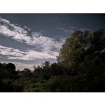 用戶照片 Huawei Pura 80 Ultra