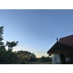 用戶照片 Huawei Pura 80 Ultra