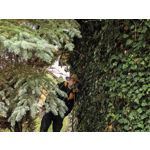 用戶照片 Huawei Pura 80 Ultra