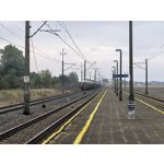 用戶照片 Huawei Pura 80 Ultra