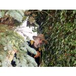 用戶照片 Huawei Pura 80 Ultra