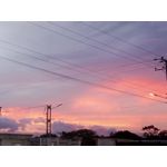 來自這款手機的圖片