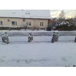 Foto dei utenti Infinix Note 12 Pro 4G