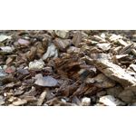 Foto's van de gebruikers Jiayu S3 Foto's van de gebruikers Jiayu S3