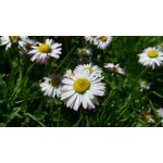 Foto's van de gebruikers Jiayu S3 Foto's van de gebruikers Jiayu S3