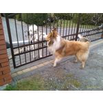 Selbst von Nutzern gemachte Bilder Kruger&Matz Drive