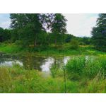 来自这款手机的图片