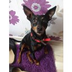 ФОТКИ СНЯТЫЕ ДАННЫМ МОБИЛЬНИКОМ