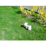 PICTURES FROM THIS PHONE