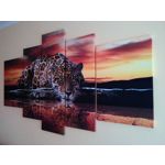 PICTURES FROM THIS PHONE