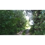 Les photos des utilisateurs Leagoo Elite 1