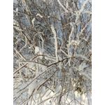 FOTO'S VAN DEZE TELEFOON