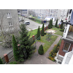 PICTURES FROM THIS PHONE