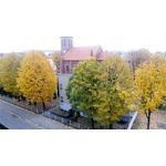 FOTO FATTE CON QUESTO TELEFONO