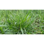 來自這款手機的圖片