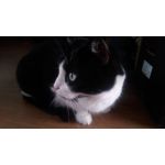 來自這款手機的圖片