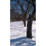 來自這款手機的圖片