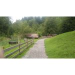 FOTO FATTE CON QUESTO TELEFONO