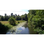 FOTOS AUS DIESEM HANDY