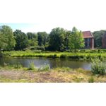 FOTOS AUS DIESEM HANDY